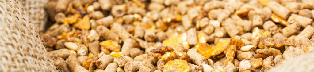animal feed