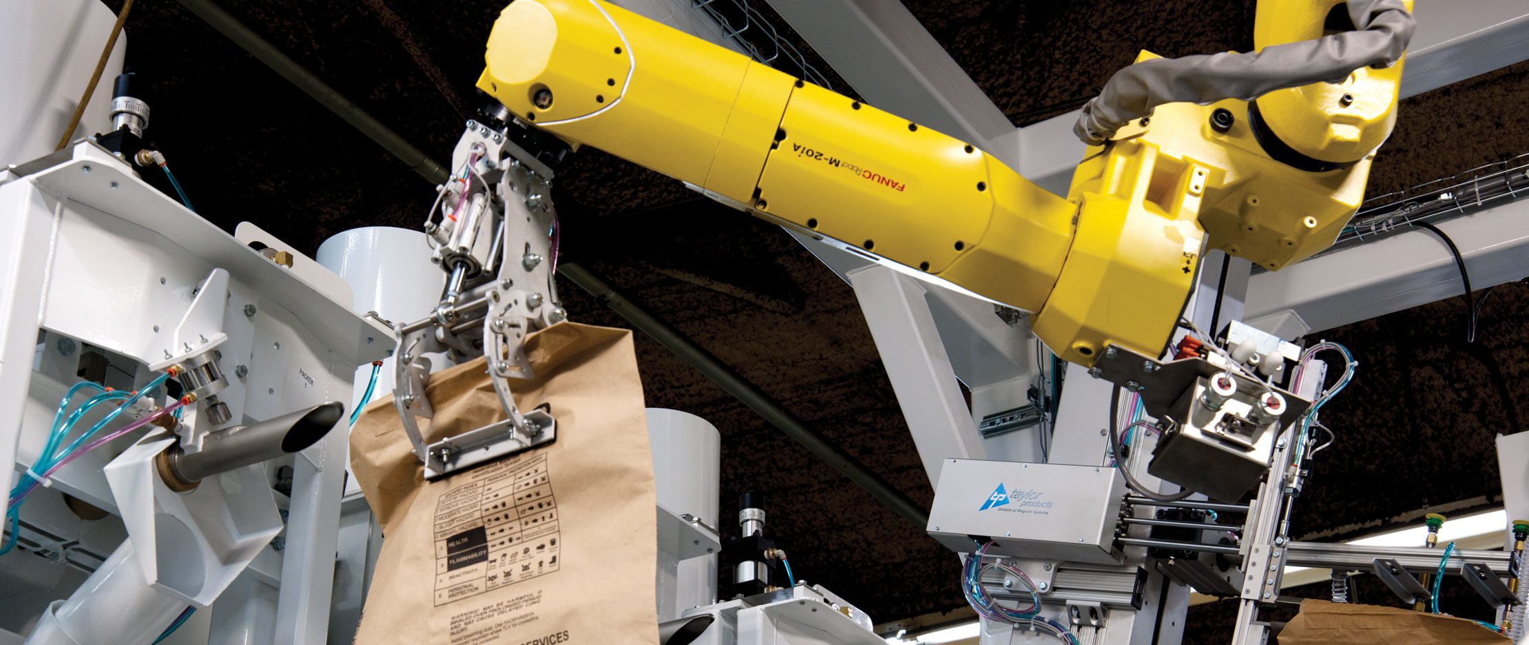 Improve Safety in Packaging: The Power of Integrated Systems and Automation