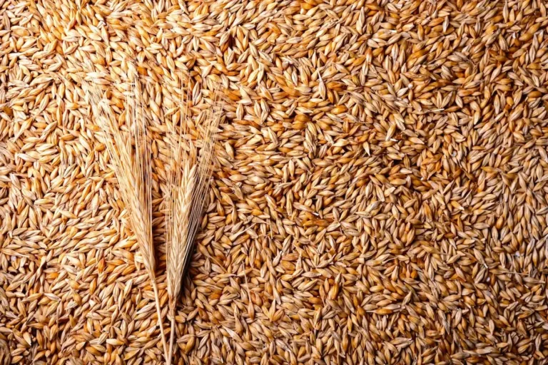 Agriculture, Feed, & Seed