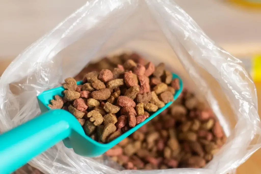 Teal plastic scoop filled with brown dry pet food kibble held inside an open clear plastic bag.